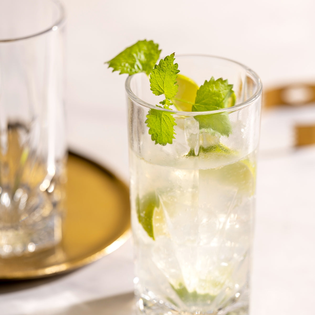 LEONARDO Longdrinkglas mit hellem Cocktail, Limetten und Minze auf goldenem Tablett.