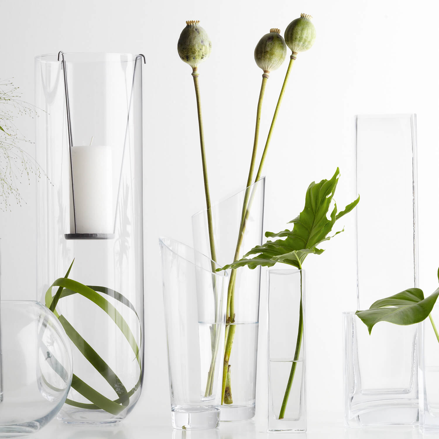 Verschiedene klare Glasvasen mit grünen Blüten und Blättern arrangiert
