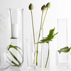 Verschiedene klare Glasvasen mit grünen Blüten und Blättern arrangiert