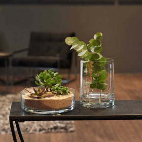 Schale NOVARA mit Sukkulente auf schwarzem Tisch im Wohnzimmer