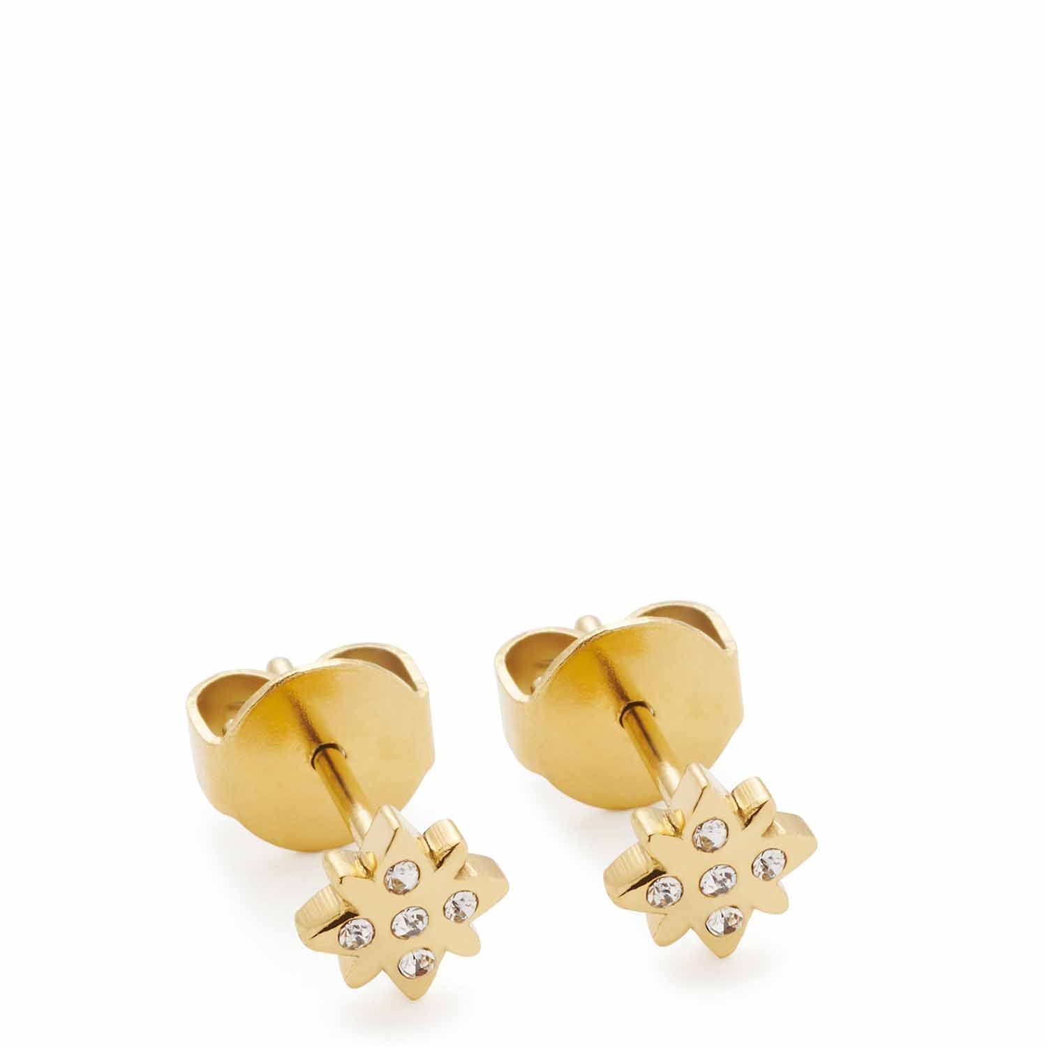 Ohrstecker CAMPAGNOLA gold mit Zirkonia-besetzten Anhängern, Paaraufnahme von vorne