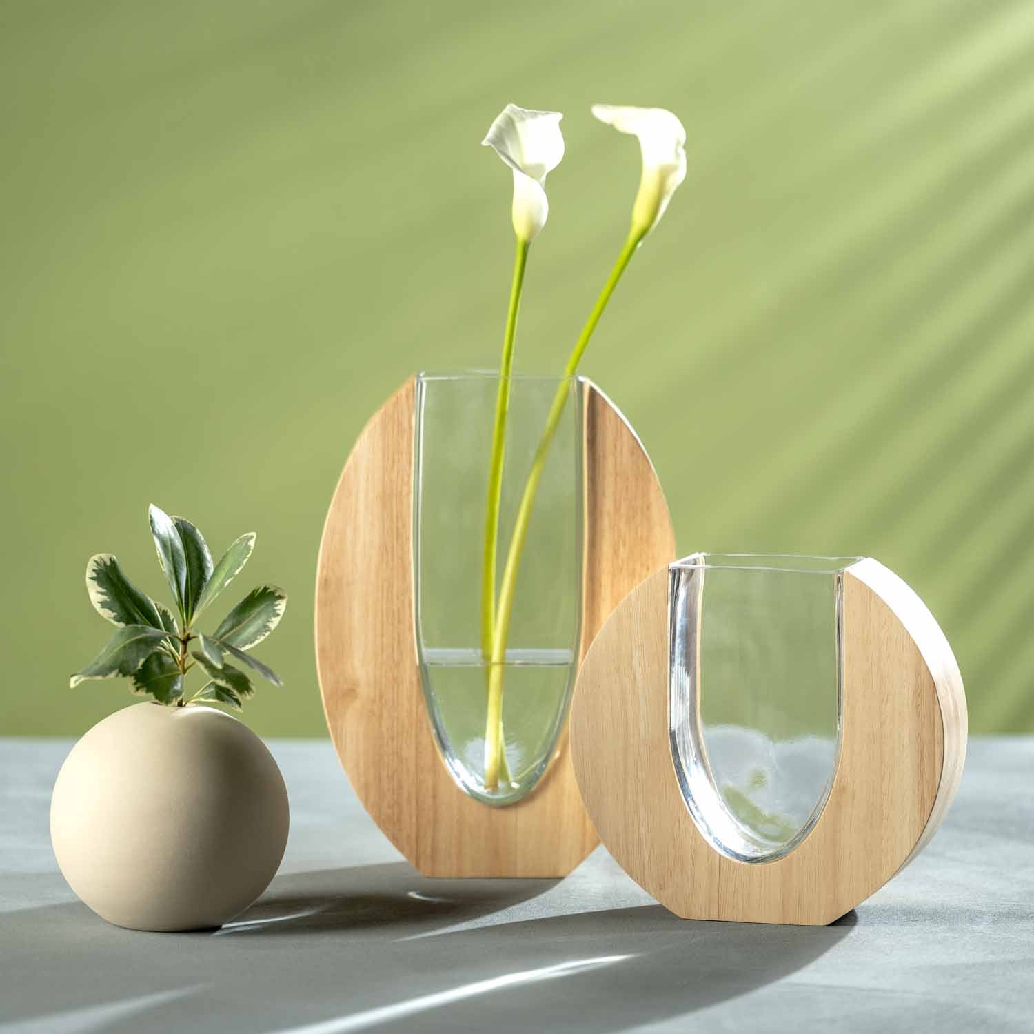 Vase LEGNO mit weißen Calla-Lilien und Topfpflanze auf grünem Hintergrund