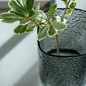 Vase MARTELLO mit grüner Pflanze in Innenraum