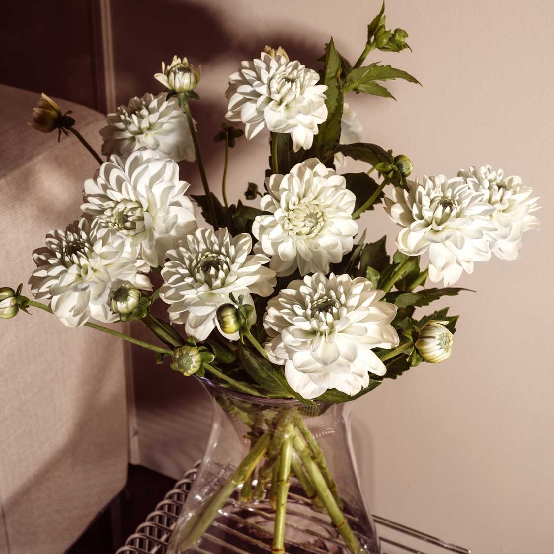 Vase GIA mit weißen gefüllten Dahlien und grünen Stielen