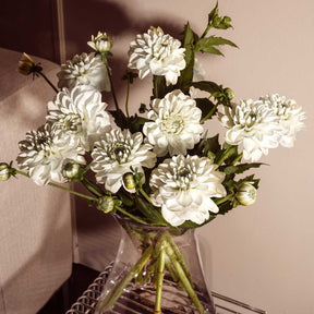 Vase GIA mit weißen gefüllten Dahlien und grünen Stielen