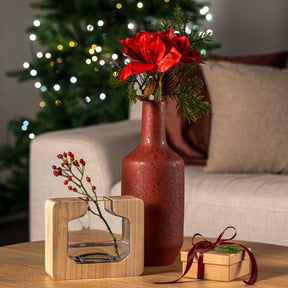 Rote Amaryllis in Vase mit Weihnachtsdeko und Geschenk