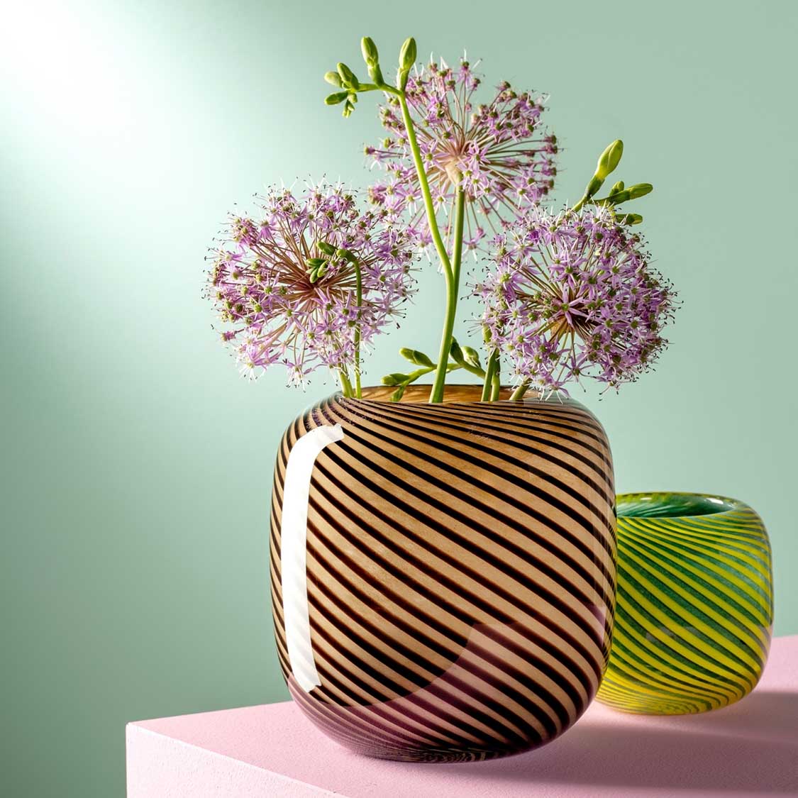 Vase FILO COLORI mit rosa Allium-Blüten auf rosa Podest, daneben grüne Vase