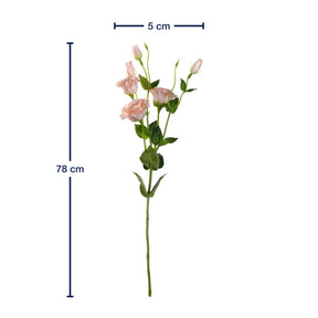 Massangaben zu Lysianthus FIORE 78 cm apricot