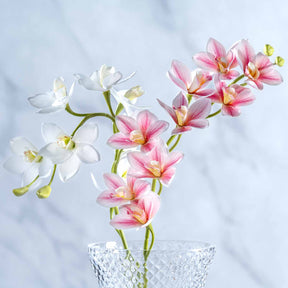 Weiße und rosa Orchideen in kristallklarer Vase vor Marmor