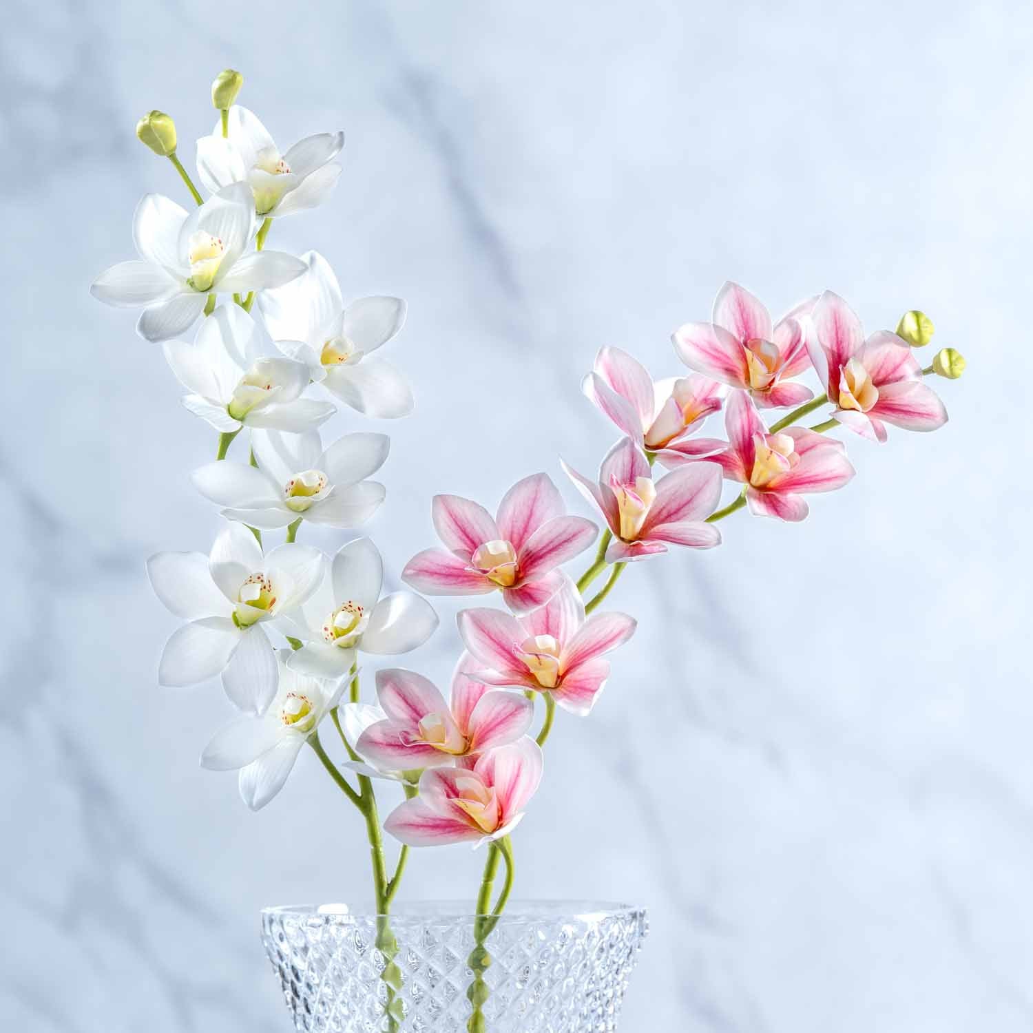 Orchidee FIORE in Weiß und Rosa in transparenter Glasvase vor hellem Hintergrund