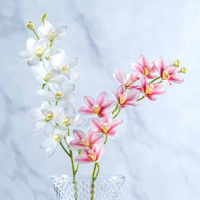 Orchidee FIORE in pink und weiß in Gleisvase, vor hellgrauem Hintergrund