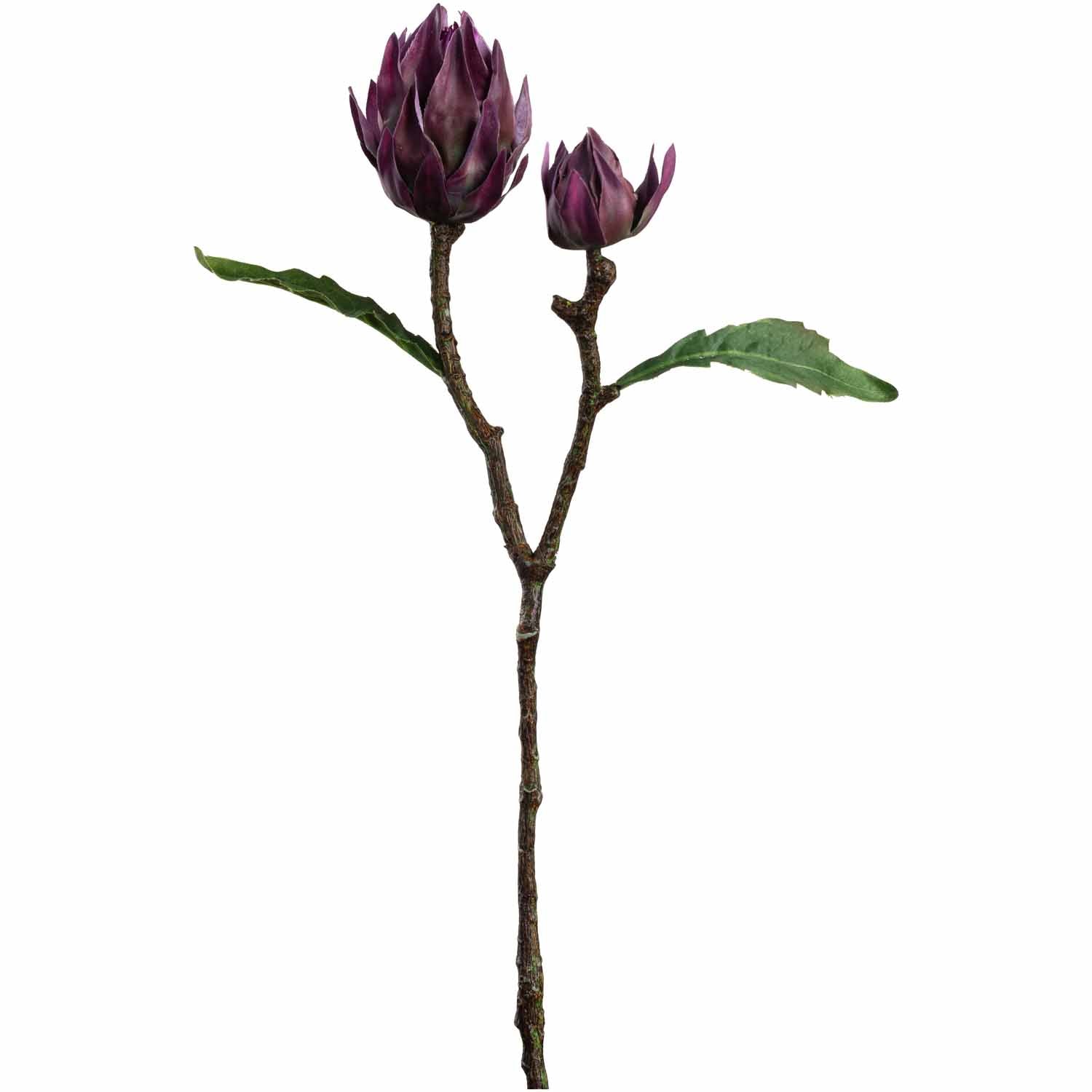 Lila Artischocke FIORE mit zwei Blütenköpfen und grünen Blättern