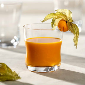 Trinkglas VITA mit Orangensaft gefüllt, daneben eine Physalis mit getrockneten Blättern