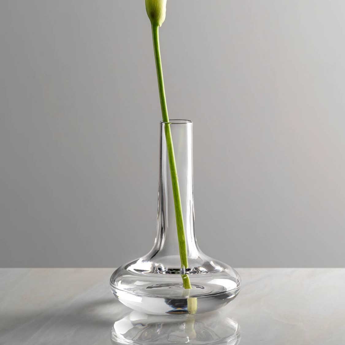 Solifleurvase ARIA mit einzelnem grünen Stiel in klarem Glas auf weißer Oberfläche