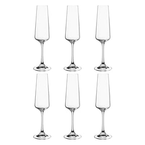 Sektglas PALADINO 220 ml 6er-Set, klares Glas, arrangiert in zwei Reihen