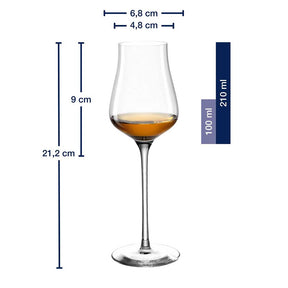 Massangaben zu Grappaglas BRUNELLI 210 ml mit Füllung