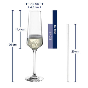 Massangaben zu Sektglas Geschenkset PUCCINI 5-teilig 280 ml