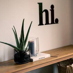 Vase PIETRA mit Sukkulente auf Holzregal in Wohnraum-Styling